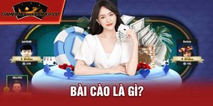 Bài Cào Là Gì? Hướng Dẫn Cách Chơi Cùng Một Số Mẹo Hữu Ích