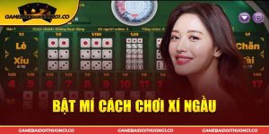 Cách Chơi Xí Ngầu Cho Tân Thủ Và Kinh Nghiệm Luôn Thắng