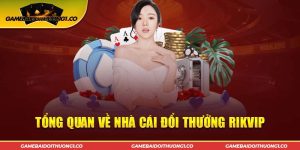 Rikvip - Đánh giá chất lượng của nhà cái uy tín Rikvip - Đánh giá chất lượng của nhà cái uy tín